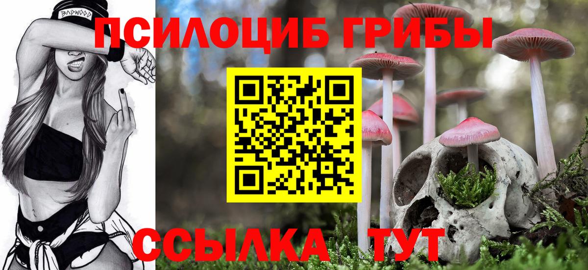 Галлюциногенные грибы Magic Shrooms  Вход с VPN  Богородск  Галлюциногенные грибы MAGIC MUSHROOMS 