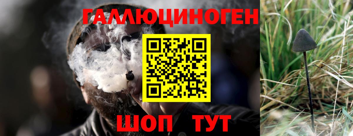Псилоцибиновые грибы ЛСД Богородск